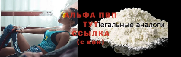 трава Белокуриха