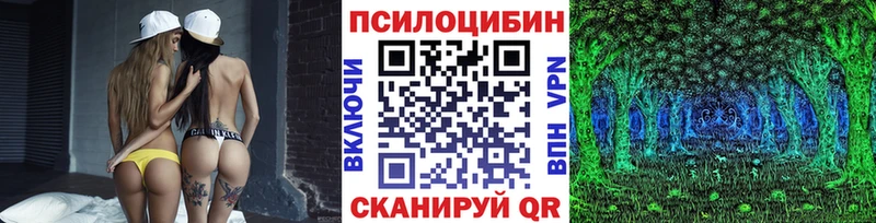 Галлюциногенные грибы Cubensis  Купить  Монино 